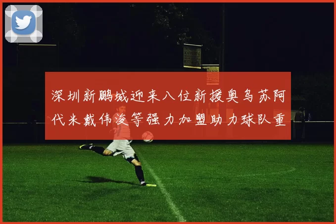 深圳新鹏城迎来八位新援奥乌苏阿代米戴伟浚等强力加盟助力球队重塑辉煌