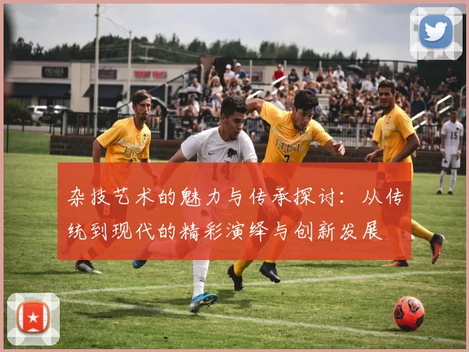 杂技艺术的魅力与传承探讨：从传统到现代的精彩演绎与创新发展