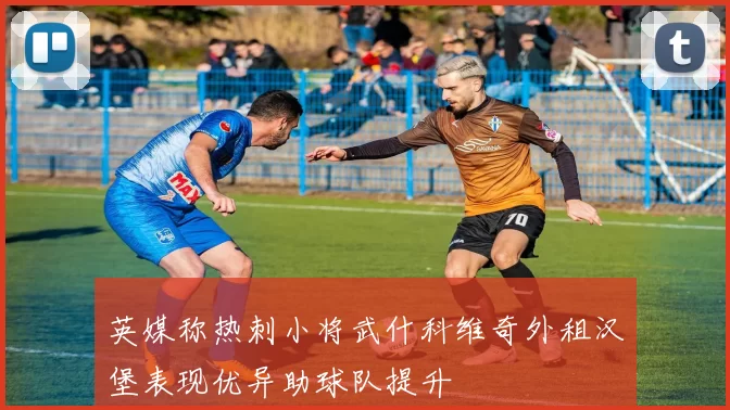 英媒称热刺小将武什科维奇外租汉堡表现优异助球队提升