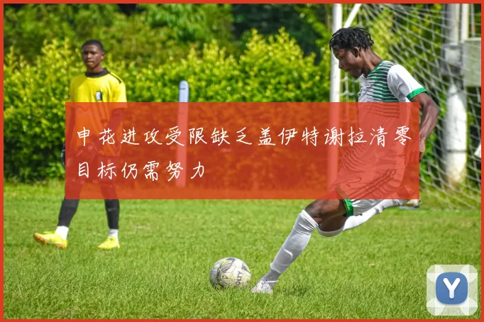 申花进攻受限缺乏盖伊特谢拉清零目标仍需努力