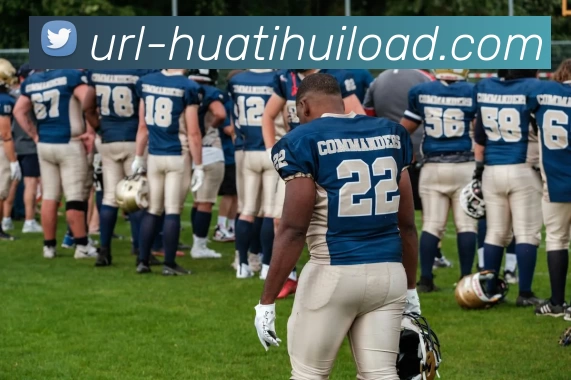 华体会体育APP 封面图